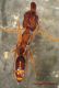 Odonthomachus sp. 2.1.JPG