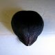 DSCN5310-3.jpg