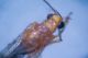 IMGP9439.jpg