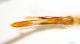 Anthaxia_IMG_7929_C00676.JPG