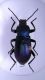 DSCN5331 2.JPG