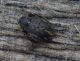 alexaandru_p1160404_20100227152550_small.jpg