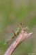 DSC_3591n.jpg