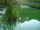 P1050202.JPG