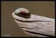 IMG_1182__LR.jpg