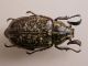 DSCN5728.JPG