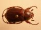 DSCN5732.JPG
