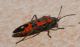 DSC08075.jpg