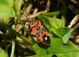 DSC08215.jpg