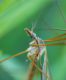 DSC08101.jpg