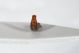 Chrysolina cf herbacea8.JPG