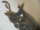 DSCN5908.JPG