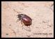 DSCN0108.JPG