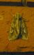 Meganephria bimaculosa (LINNAEUS, 1767) ..JPG