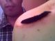 Snapshot_20101114_18.jpg
