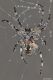 DSC_7840a.jpg
