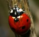 DSC08521.jpg