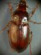 DSCN6160.JPG