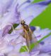 DSC07190.jpg