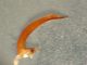 DSCN6171.JPG
