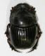 DSCN6202.JPG