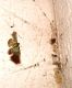 àùò 041.JPG