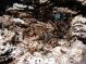 DSCN5524.JPG