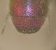 img5280tm0.jpg