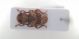 Parmena subpubescens.jpg