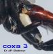 - n° 0815 coxa 3.jpg