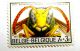 Polistes gallicus.jpg