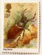 Lucanus cervus Gran Bretagna_ Insetti nei francobolli 039.jpg