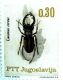 Lucanus cervus Jugoslavia_Insetti nei francobolli 025.jpg