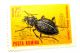 Procerus gigas_Francobolli 033.jpg