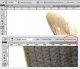 CS$-CS5.jpg