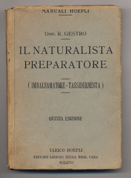 gestro_il_naturalista_1915.jpg
