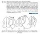 cyclocephala.jpg