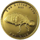 Ant_Lion_Fly_Palau_2006_GOLD.png