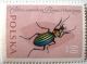 Carabus auronitens_Polonia_Insetti nei francobolli 021.jpg