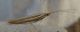 Unidentified3.jpg