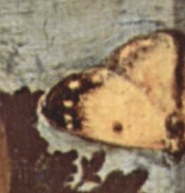 Ginevra-Este-Colias.jpg