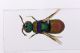 rectangle_New-Out99999-vachali-LED-1024.jpg