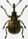 img023 - Copia.jpg