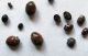 coccinelle.jpg