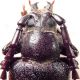 5. pronotum P. besicanus.JPG