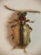 DSCN6815.JPG