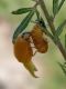 Z-0726L2 - F037.90 - Per Ca Bardagli, nasce una Coccinella - 23 LUG 2009 052.jpg