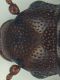 Rhizophagus_SanVittorino_prova_Hoya200-Summar24_n1_testa.jpg
