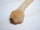 DSCN5507 2.JPG
