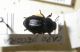 DSCN3118.JPG